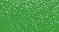 Falling Snowflake on Green Background Royalty Free Stock Photo
