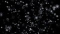 Falling snowflakes, matte, wide angle, loopable. Snow Flakes falling close up on black background with alpha. Royalty Free Stock Photo