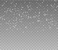 Falling snowflakes on transparent background Royalty Free Stock Photo