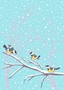 Titmouse sitting on snowy branch. Winter birds for flat style.