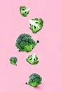 Falling soaring green broccoli slices on a pink background. Royalty Free Stock Photo