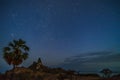 Amazing camping spot at night when sky was dark full of stars. Falling star. Rote island, Indonesia