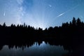 Falling stars Lake pine trees silhouette Milky Way