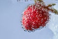 Falling strawberies in water. Strawberry underwater. Red sweet fresh fruit splashing into water Royalty Free Stock Photo