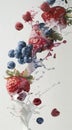 Falling strawberries and blueberries in milk splash on a white background Royalty Free Stock Photo