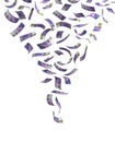 Falling Swiss Franc Royalty Free Stock Photo