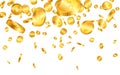 Falling from the top a lot of dollar gold coins on white background. Vector illustration Royalty Free Stock Photo