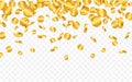 Falling from the top a lot of Euro gold coins on transparent background. Vector illustration Royalty Free Stock Photo