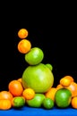 Falling tower of citruses, oranges, pummelo, limes, tangerines and grapefruits isolated on black background Royalty Free Stock Photo