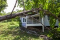 Falling tree after hard storm on damage house