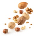 Falling Various Nuts Set Royalty Free Stock Photo