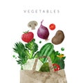 Falling vegetables, Hand drawn vector watercolor illustration Royalty Free Stock Photo