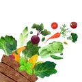 Falling vegetables, Hand drawn vector watercolor illustration Royalty Free Stock Photo