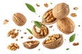 Falling walnuts on high fidelity food studio environment close-up view. Isolated on a white background - generated by ai Royalty Free Stock Photo