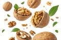 Falling walnuts on high fidelity food studio environment close-up view. Isolated on a white background - generated by ai Royalty Free Stock Photo