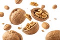 Falling walnuts on high fidelity food studio environment close-up view. Isolated on a white background - generated by ai Royalty Free Stock Photo