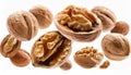 Falling walnuts isolate on White background Royalty Free Stock Photo