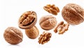 Falling walnuts isolate on White background Royalty Free Stock Photo