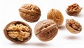 Falling walnuts isolate on White background Royalty Free Stock Photo