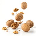 Falling walnuts isolated on white background Royalty Free Stock Photo