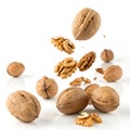 Falling walnuts isolated on white background Royalty Free Stock Photo