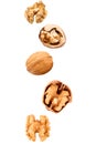 Falling walnuts on white Royalty Free Stock Photo