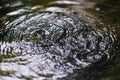 Falling water droplets in water surface with circle water waves Royalty Free Stock Photo