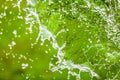 Falling Water Splash over Green Abstract Background with Room for you Text Royalty Free Stock Photo