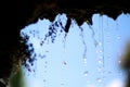 Falling waterdrops with deepth of field Royalty Free Stock Photo