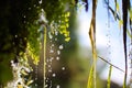 Falling waterdrops with deepth of field Royalty Free Stock Photo