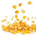 Falling yellow corn kernels isolated Royalty Free Stock Photo