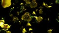 Falling Yellow Roses On Black Background