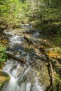 Fallingwater Creek, Blue Ridge Mountains of Virginia, USA