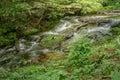 Fallingwater Creek located on the Blue Ridge Parkway Royalty Free Stock Photo