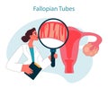 Fallopian tubes. Doctor examining fallopian tubes using magnifying glass.