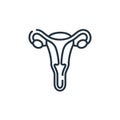 fallopian tubes vector icon isolated on white background. Outline, thin line fallopian tubes icon for website design and mobile,