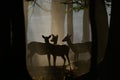 Fallow deer in dusk Royalty Free Stock Photo