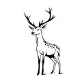 Fallow deer. Fallow deer simple black and white line art vector logo Royalty Free Stock Photo