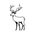 Fallow deer. Fallow deer simple black and white line art vector logo Royalty Free Stock Photo
