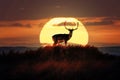 Fallow Deer Sunset