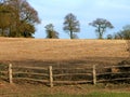 Fallow Field