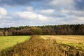 Fallow fields and meadow, autumn forest and white clouds on the sky Royalty Free Stock Photo