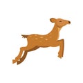 Fallow sika roe deer jumping, wild animal cartoon vector Illustration