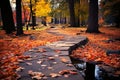 Falls beauty on a park trail, with colorful maple leaves