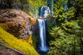 Falls Creek Falls, Gifford Pinchot National Forest, Washington Royalty Free Stock Photo