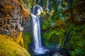 Falls Creek Falls, Gifford Pinchot National Forest, Washington Royalty Free Stock Photo