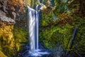 Falls Creek Falls, Gifford Pinchot National Forest, Washington Royalty Free Stock Photo