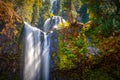 Falls Creek Falls, Gifford Pinchot National Forest, Washington Royalty Free Stock Photo