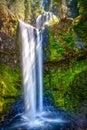 Falls Creek Falls, Gifford Pinchot National Forest, Washington Royalty Free Stock Photo