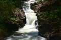 Falls on Cumbum -Thekkady road in Tamilnadu